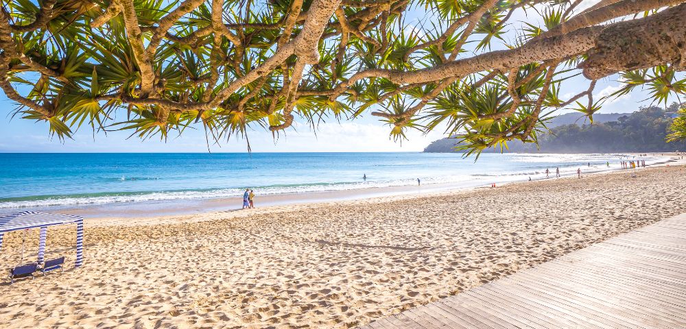 A sunny beach scene with golden sand and turquoise waves, framed by lush tree branches. People stroll along the shore, creating a serene atmosphere.