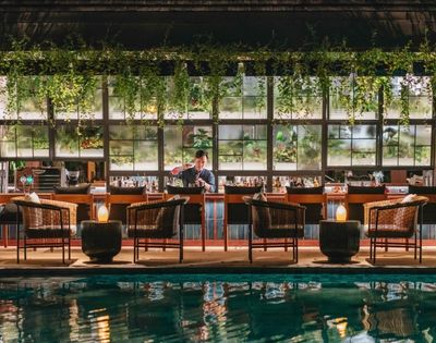 A stylish bar with lush hanging plants above, wicker chairs, and a cozy ambiance. A bartender stands behind the counter, creating a warm, inviting atmosphere.