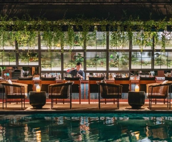 A stylish bar with lush hanging plants above, wicker chairs, and a cozy ambiance. A bartender stands behind the counter, creating a warm, inviting atmosphere.