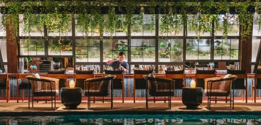 A stylish bar with lush hanging plants above, wicker chairs, and a cozy ambiance. A bartender stands behind the counter, creating a warm, inviting atmosphere.