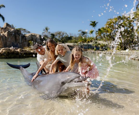 A family of four joyfully interacts with a dolphin in shallow, clear water. Palm trees and rocky landscape are visible in the background under a sunny sky.
