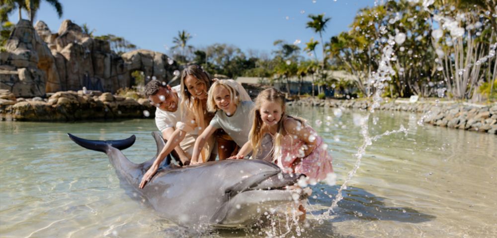 A family of four joyfully interacts with a dolphin in shallow, clear water. Palm trees and rocky landscape are visible in the background under a sunny sky.