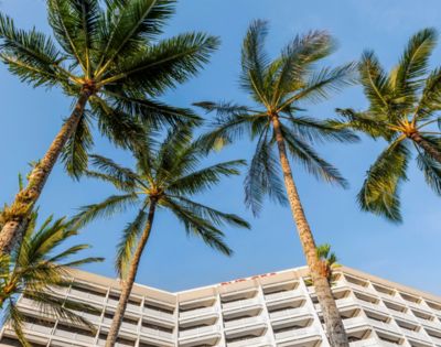 Modern hotel building with white balconies seen from below, framed by tall palm trees against a clear blue sky, evoking a tropical, serene atmosphere.