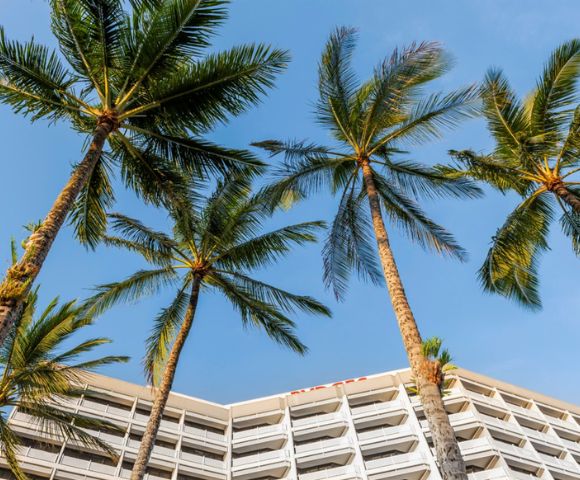 Modern hotel building with white balconies seen from below, framed by tall palm trees against a clear blue sky, evoking a tropical, serene atmosphere.