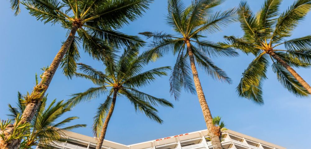 Modern hotel building with white balconies seen from below, framed by tall palm trees against a clear blue sky, evoking a tropical, serene atmosphere.