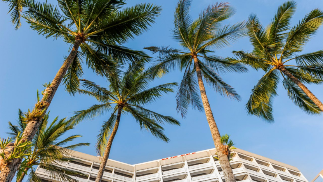 Print Stylesheet Image