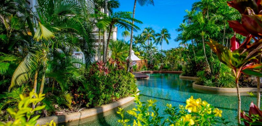 Lush tropical garden with a meandering pool surrounded by vibrant green palm trees and yellow flowers under a clear blue sky, exuding tranquility.