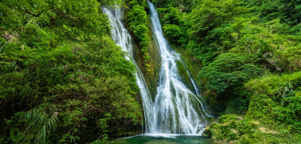 Waterfall cascading through lush greenery in a vibrant tropical rainforest.