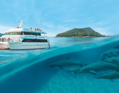 A tour boat with passengers sails on clear blue water near a lush, hilly island. Below the surface, a pod of dolphins swims gracefully. The scene conveys adventure and serenity.