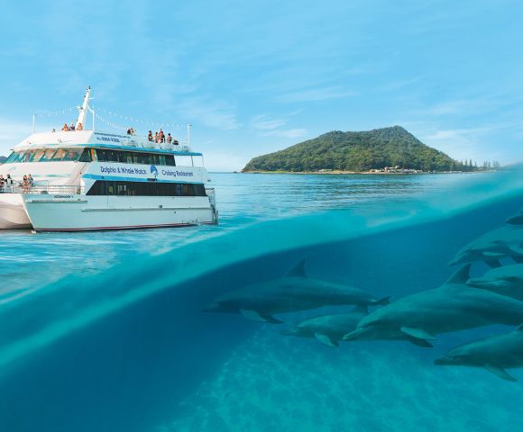 A tour boat with passengers sails on clear blue water near a lush, hilly island. Below the surface, a pod of dolphins swims gracefully. The scene conveys adventure and serenity.