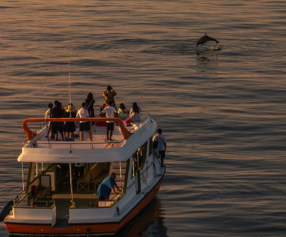 A small boat with people watching a dolphin leap in calm, sunlit waters, creating a serene, joyful atmosphere at sunset.