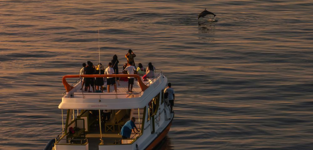 A small boat with people watching a dolphin leap in calm, sunlit waters, creating a serene, joyful atmosphere at sunset.