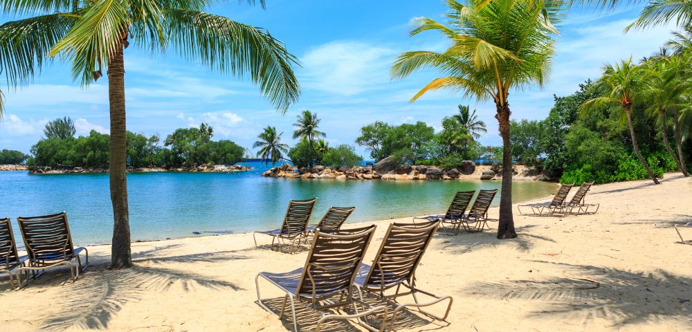 A peaceful tropical beach with lounge chairs arranged on soft sand beneath tall palm trees, overlooking calm turquoise water and small rocky islets under a bright blue sky.