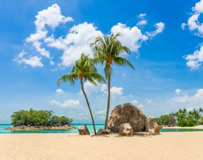 A serene tropical beach featuring two tall palm trees beside large smooth boulders on soft golden sand, with calm turquoise water and small tree-covered islets in the background under a bright blue sky with scattered clouds.