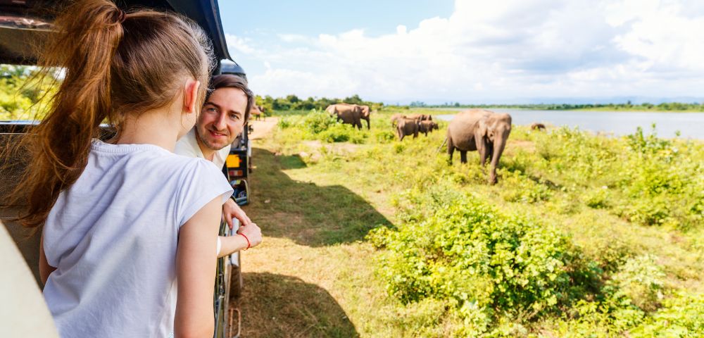 A person leans out from an open safari vehicle, observing a group of elephants grazing near a lakeside in a lush, open landscape under a bright sky.