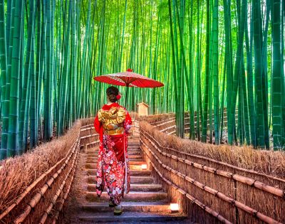 A woman in a red kimono holds a red umbrella, walking through a serene bamboo forest on a sunlit path. The scene is calm and picturesque.