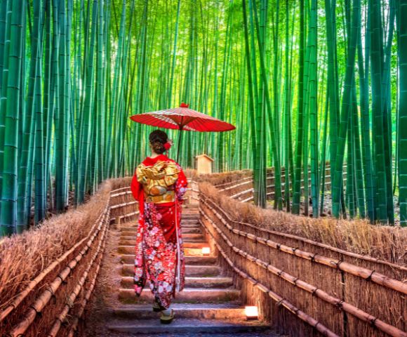 A woman in a red kimono holds a red umbrella, walking through a serene bamboo forest on a sunlit path. The scene is calm and picturesque.