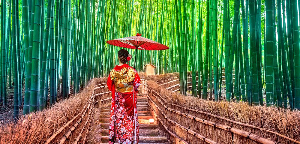 A woman in a red kimono holds a red umbrella, walking through a serene bamboo forest on a sunlit path. The scene is calm and picturesque.