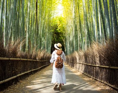 A woman in a white dress and hat walks through a serene bamboo forest path. The sun filters through tall bamboo, creating a tranquil, inviting atmosphere.
