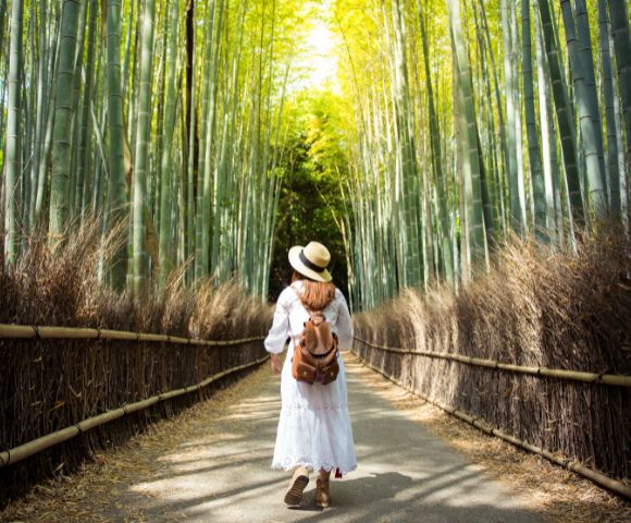 A woman in a white dress and hat walks through a serene bamboo forest path. The sun filters through tall bamboo, creating a tranquil, inviting atmosphere.