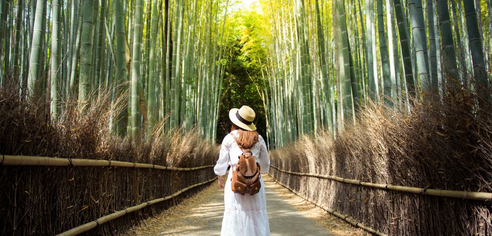 A woman in a white dress and hat walks through a serene bamboo forest path. The sun filters through tall bamboo, creating a tranquil, inviting atmosphere.