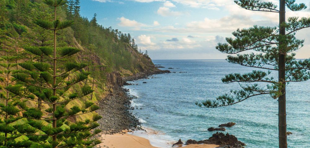 Coastal scene with a sandy beach, rocky shoreline, and blue ocean. Tall trees frame the view, with a cliffside in the background under a partly cloudy sky.