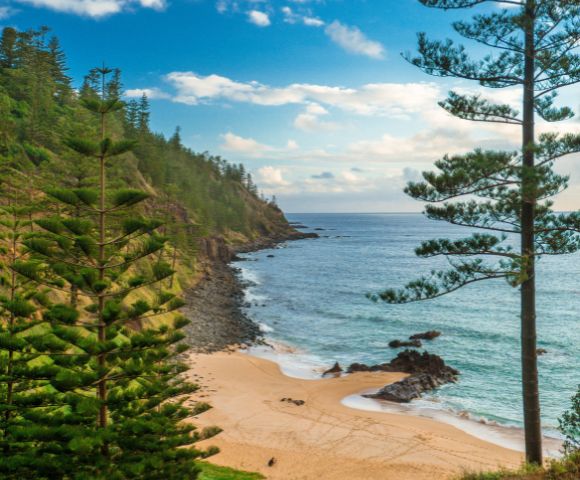 Coastal scene with a sandy beach, rocky shoreline, and blue ocean. Tall trees frame the view, with a cliffside in the background under a partly cloudy sky.