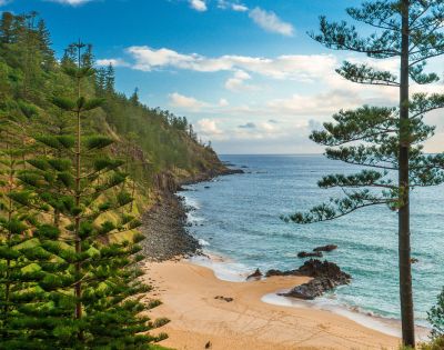Coastal scene with a sandy beach, rocky shoreline, and blue ocean. Tall trees frame the view, with a cliffside in the background under a partly cloudy sky.