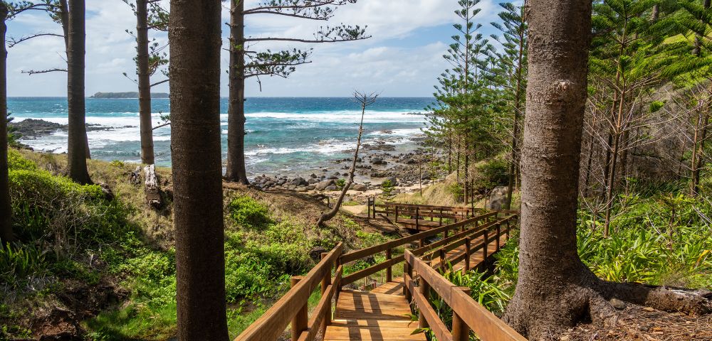 Wooden path descends through tall pine trees towards a rocky shoreline. The ocean meets the horizon under a partly cloudy sky, creating a serene, coastal atmosphere.