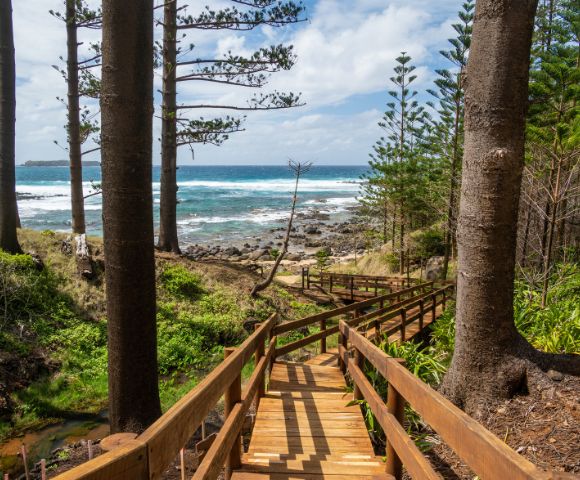 Wooden path descends through tall pine trees towards a rocky shoreline. The ocean meets the horizon under a partly cloudy sky, creating a serene, coastal atmosphere.