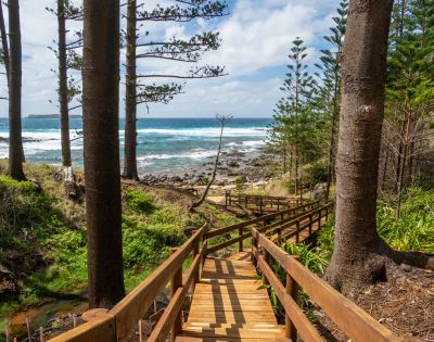 Wooden path descends through tall pine trees towards a rocky shoreline. The ocean meets the horizon under a partly cloudy sky, creating a serene, coastal atmosphere.