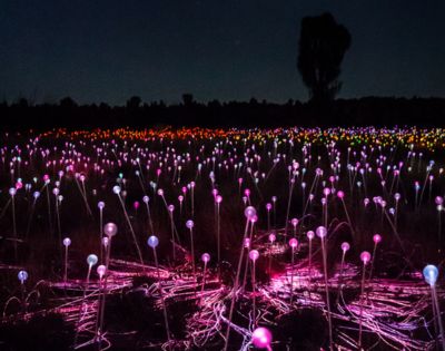 A field of glowing colored lights, resembling bulbs on thin stems, spans the landscape under a dark night sky, creating a magical, tranquil atmosphere.