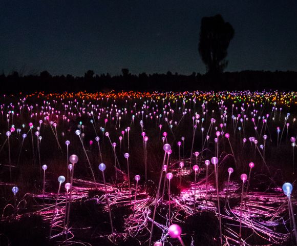 A field of glowing colored lights, resembling bulbs on thin stems, spans the landscape under a dark night sky, creating a magical, tranquil atmosphere.