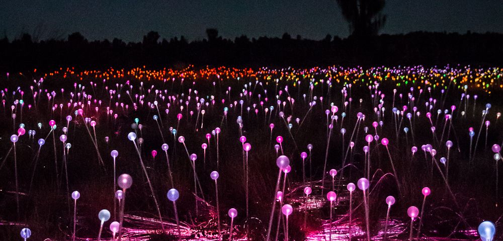 A field of glowing colored lights, resembling bulbs on thin stems, spans the landscape under a dark night sky, creating a magical, tranquil atmosphere.