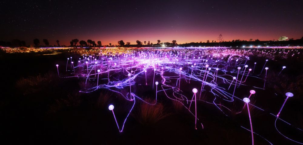 A field of glowing purple lights on white stems under a starry night sky, creating a magical and serene atmosphere. Trees silhouette against a warm horizon.