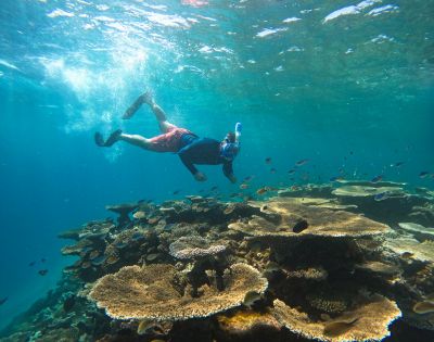 A snorkeler explores vibrant coral reefs underwater, surrounded by clear blue-green water and small fish, conveying a sense of adventure and tranquility.