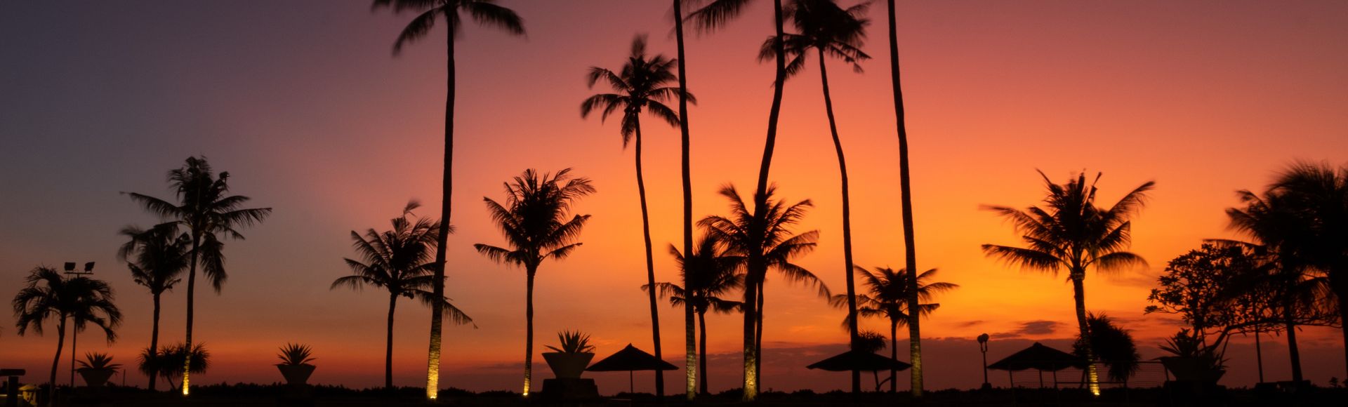 Silhouetted palm trees stand against a vibrant orange and purple sunset sky, evoking a serene, tropical ambiance.
