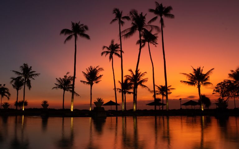 Silhouetted palm trees stand against a vibrant orange and purple sunset sky, evoking a serene, tropical ambiance.