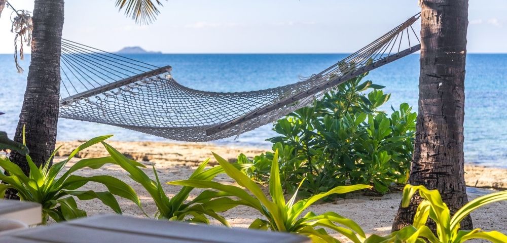 A hammock hangs between palm trees on a tropical beach, with vibrant green plants and a serene ocean view, conveying a tranquil, relaxing vibe.