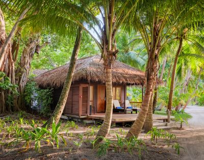 Tropical scene with a thatched-roof cabin surrounded by lush palm trees and greenery. Sunlight filters through the foliage, creating a tranquil vibe.