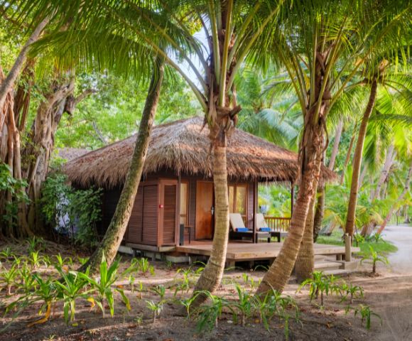 Tropical scene with a thatched-roof cabin surrounded by lush palm trees and greenery. Sunlight filters through the foliage, creating a tranquil vibe.