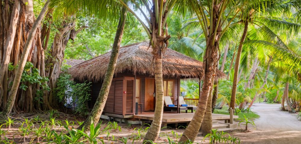 Tropical scene with a thatched-roof cabin surrounded by lush palm trees and greenery. Sunlight filters through the foliage, creating a tranquil vibe.