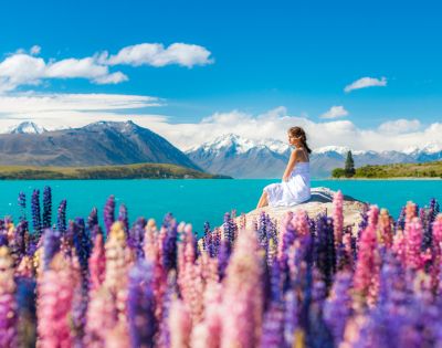 A woman in a white dress sits peacefully on a rock by a turquoise lake, surrounded by vivid purple and pink lupines, with snow-capped mountains in the background.