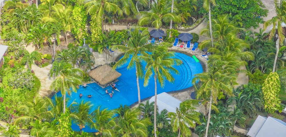 Aerial view of a tropical resort featuring a sparkling pool surrounded by lush palm trees.