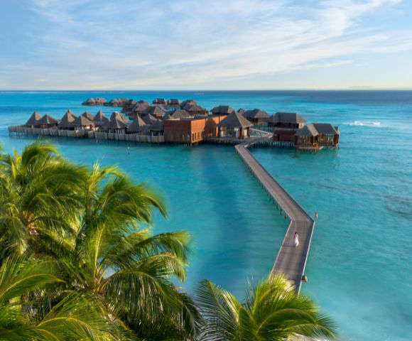 Overwater bungalows on stilts stretch across turquoise sea, connected by a long wooden pier. Palm trees frame the foreground, evoking a tranquil, tropical vibe.