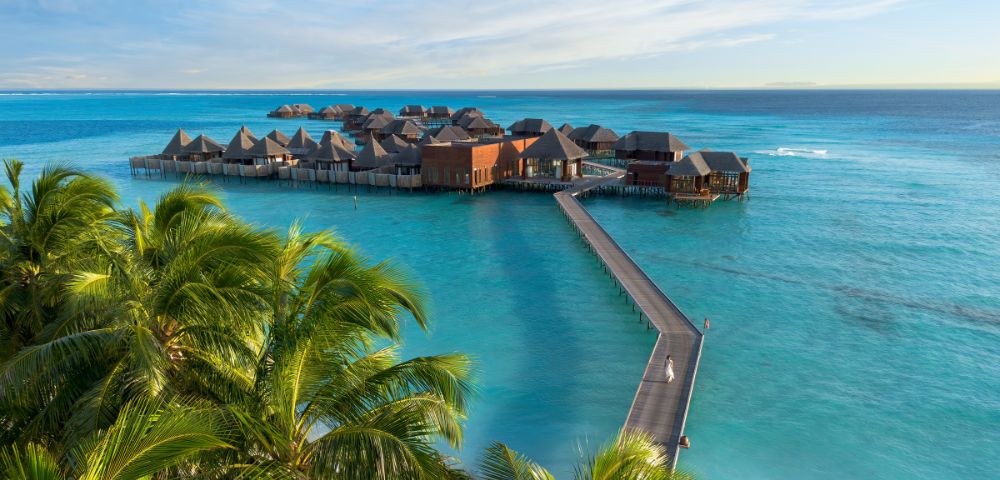 Overwater bungalows on stilts stretch across turquoise sea, connected by a long wooden pier. Palm trees frame the foreground, evoking a tranquil, tropical vibe.