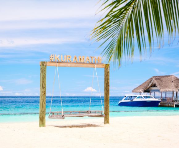 Tropical beach scene with a wooden swing marked 