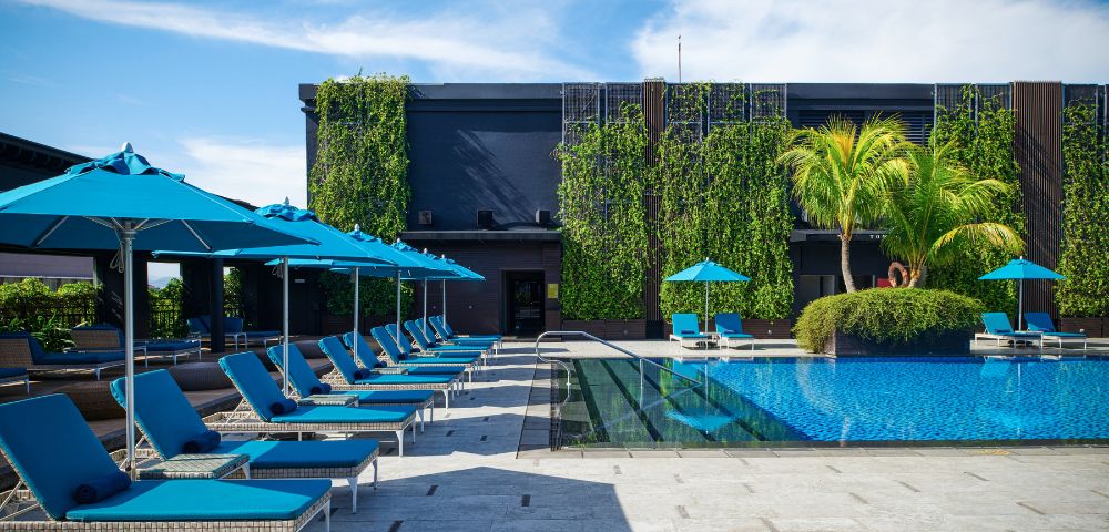 Lounge chairs with blue umbrellas line a poolside under a clear sky, alongside a building covered in lush green vines and palm trees, conveying a serene and tropical atmosphere.