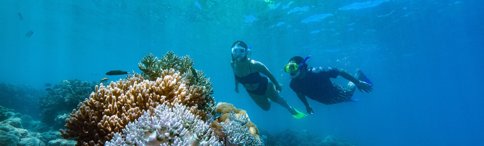 Two snorkelers swim above a vibrant coral reef in clear blue water, exploring marine life. The scene conveys a sense of adventure and tranquility.