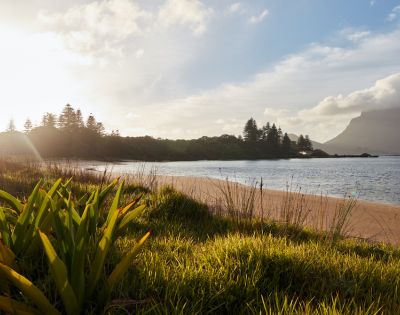 Sunlit beach scene with soft waves, grassy foreground, distant trees, and mountains under a partly cloudy sky. The atmosphere is serene and peaceful.